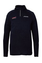 Džemperis vīriešiem Phenix ESM23LS10-SP, zils cena un informācija | Vīriešu džemperi | 220.lv