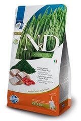 Farmina N&D Spirulina сухой корм для котят с сельдью и ягодами, 1,5 кг цена и информация | Сухой корм для кошек | 220.lv