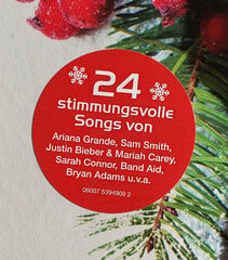 Vinila plate Various - Best Of Christmas, 2LP cena un informācija | Vinila plates, CD, DVD | 220.lv