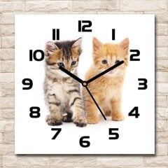 Stikla Pulkstenis Brūns un sarkans kaķis, 30x30 цена и информация | Часы | 220.lv