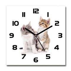 Stikla Pulkstenis Divi mazi kaķi цена и информация | Часы | 220.lv
