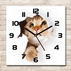 Stikla Pulkstenis Kaķis bedrē цена и информация | Часы | 220.lv