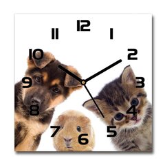 Настенное часы Quid, животные, деревянные (34 cм) цена и информация | Часы | 220.lv