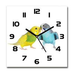 Stikla Pulkstenis Papagaiļi цена и информация | Часы | 220.lv