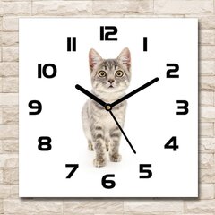 Stikla Pulkstenis Pelēks kaķis цена и информация | Часы | 220.lv