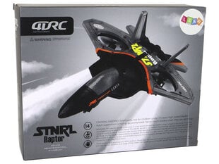 Lidmašīnas iznīcinātājs Lean Toys Remote Controlled Fighter cena un informācija | Rotaļlietas zēniem | 220.lv