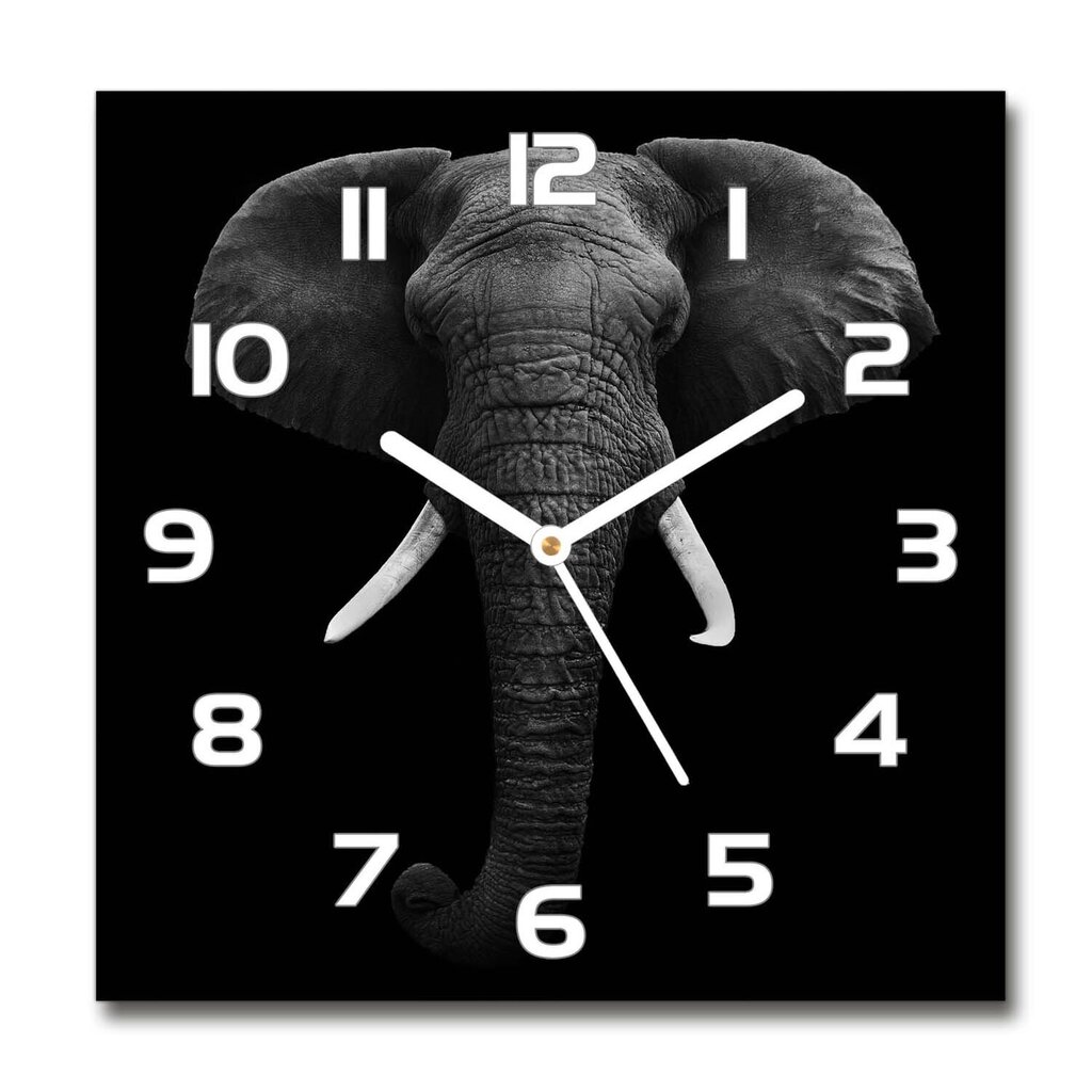 Stikla Pulkstenis Āfrikas zilonis цена и информация | Pulksteņi | 220.lv