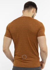 T-krekls vīriešiem Alpinus Dirfi MK18816, brūns цена и информация | Мужские футболки | 220.lv