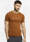 T-krekls vīriešiem Alpinus Dirfi MK18816, brūns cena un informācija | Vīriešu T-krekli | 220.lv