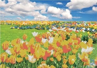 Dimanta mozaīkas komplekts Tulips, Centrum, 300x400mm cena un informācija | Dimantu mozaīkas | 220.lv