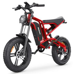 Электровелосипед Hidoes B6, 20", красный цена и информация | Электровелосипеды | 220.lv