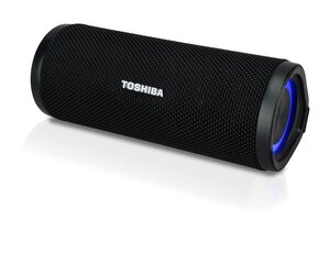 Toshiba TY-WSP102 цена и информация | Аудиоколонки | 220.lv