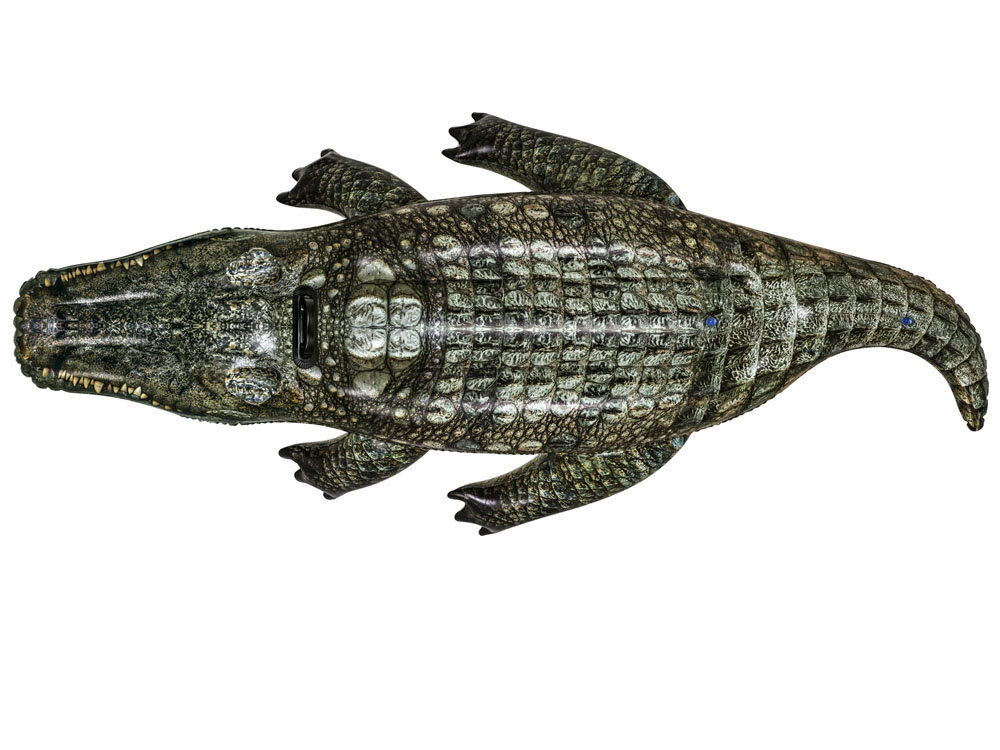 Piepūšams peldošs krokodils Bestway, 193 x 94 cm цена и информация | Piepūšamās rotaļlietas un pludmales preces | 220.lv