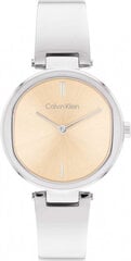 Мужские часы Calvin Klein 1685227. цена и информация | Мужские часы | 220.lv