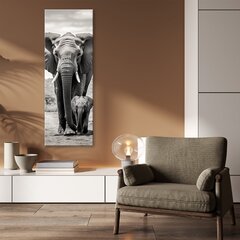 Glezna Ziloņi цена и информация | Картины | 220.lv
