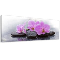Glezna Orhidejas un akmeņi цена и информация | Картины | 220.lv