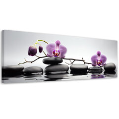 Glezna Orhideja un akmeņi цена и информация | Картины | 220.lv