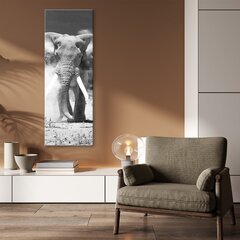 Картина DKD Home Decor Слон цена и информация | Картины | 220.lv