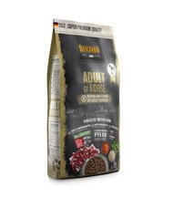 Belcando Adult Grain Free для взрослых собак всех пород с кониной, 4 кг цена и информация | Сухой корм для собак | 220.lv