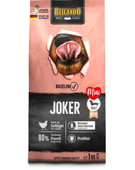 Belcando Baseline Joker Grain Free visu šķirņu suņiem, ar mājputniem, 4 kg cena un informācija | Sausā barība suņiem | 220.lv