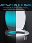Tualetes apgaismojums, Electronics LV-696, 1 gab cena un informācija | Piederumi tualetes podiem un bidē | 220.lv