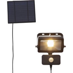 Прожектор SOLAR 800lm 5h 3m кабель цена и информация | Уличное освещение | 220.lv