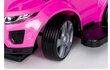 Bērnu stumjamā mašīna, rozā/melna cena un informācija | Rotaļlietas zīdaiņiem | 220.lv