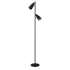 Stāvlampa Searchlight Stylus EU60971BK cena un informācija | Stāvlampas | 220.lv