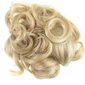 Pieliekamie mati Vanessa Grey Curly-Bun-24H613, gaiši blonda ar gaišiem gaišākiem uzgaļiem cena un informācija | Matu aksesuāri | 220.lv