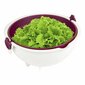 Salātu skalojamais trauks цена и информация | Virtuves piederumi | 220.lv
