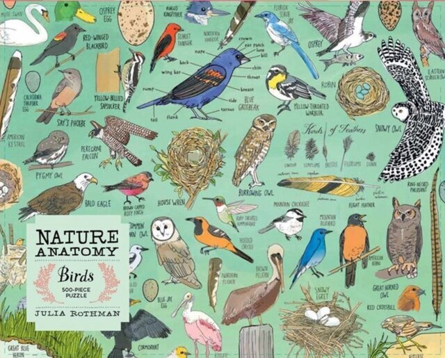 Nature Anatomy: Birds Puzle, 500gab. цена и информация | Puzles, 3D puzles | 220.lv