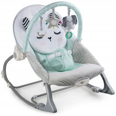 Šūpuļkrēsls ar vibrāciju mazuļiem Nukido, grey/mint cena un informācija | Bērnu šūpuļkrēsliņi | 220.lv