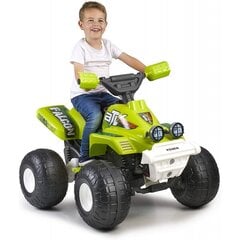 Детский электрический квадроцикл Falcon 6V Feber, зеленый цена и информация | Электромобили для детей | 220.lv