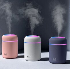 Увлажнитель со светодиодной подсветкой H2O HUMIDIFIER цена и информация | Увлажнители воздуха | 220.lv