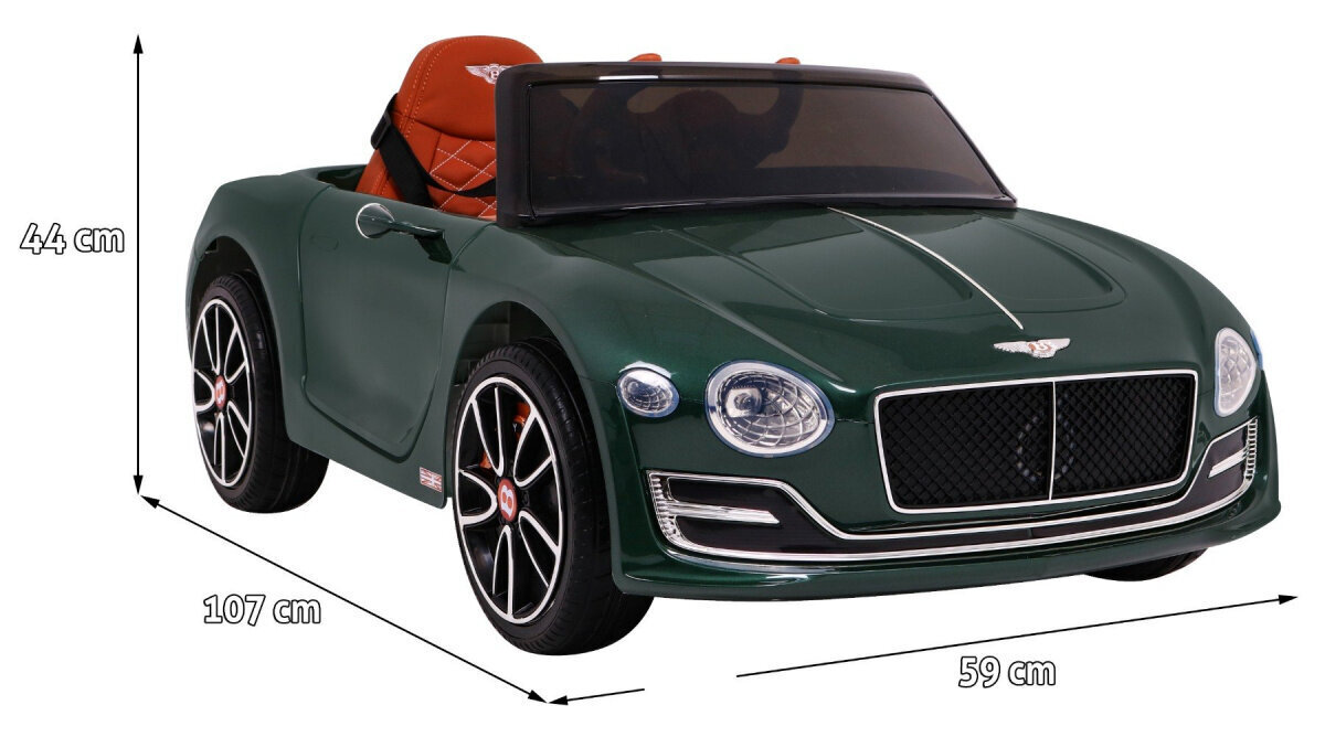 Vienvietīgs bērnu elektroauto Bentley EXP12, zaļš cena un informācija | Bērnu elektroauto | 220.lv