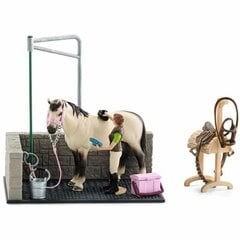 Показатели деятельности Schleich + 3 years цена и информация | Игрушки для девочек | 220.lv