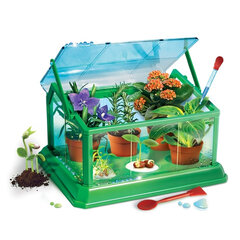 Набор для выращивания Clementoni My First Greenhouse цена и информация | Развивающие игрушки | 220.lv