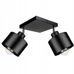 Потолочный светильник Led-lux, черный цена и информация | Потолочные светильники | 220.lv