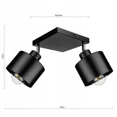 Led-lux griestu lampa, melna цена и информация | Потолочные светильники | 220.lv