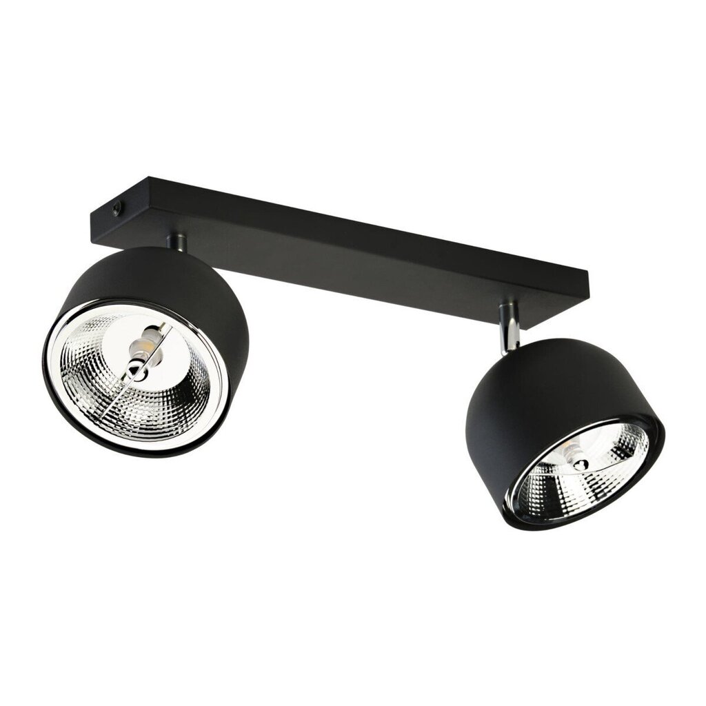 TK Lighting griestu lampa Altea цена и информация | Griestu lampas | 220.lv
