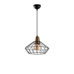 Piekaramā lampa Wire-2281 cena un informācija | Lustras | 220.lv