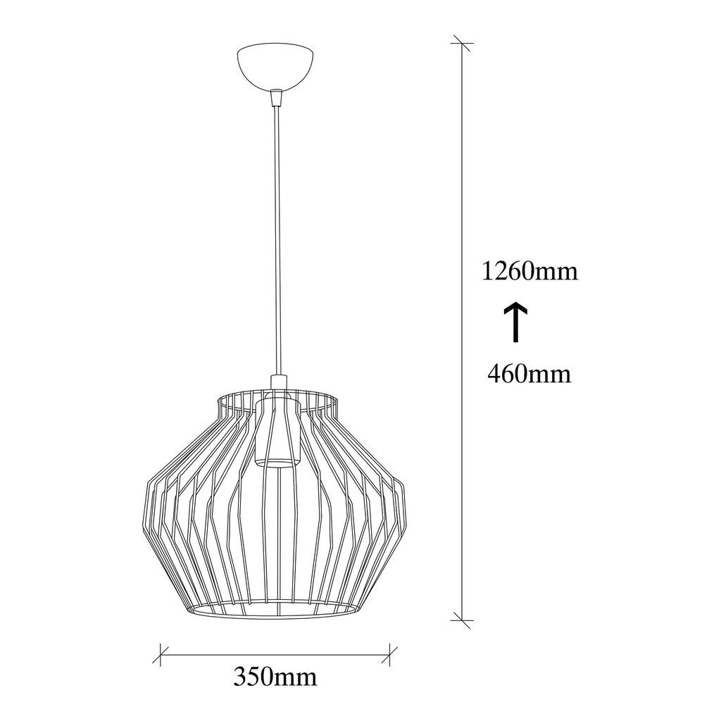 Piekaramā lampa Vazo-2922 цена и информация | Piekaramās lampas | 220.lv