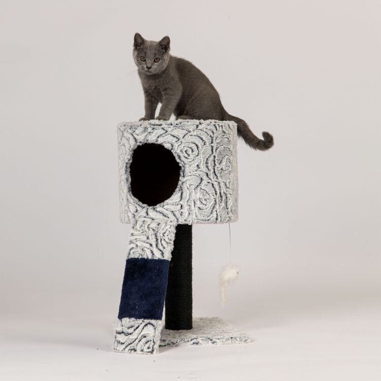 Kaķu skrāpis ar māju Petsi, 55 cm cena un informācija | Kaķu mājas, nagu asināmie | 220.lv