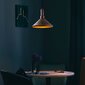Piekarināmā lampa Dodo-2381 cena un informācija | Piekaramās lampas | 220.lv