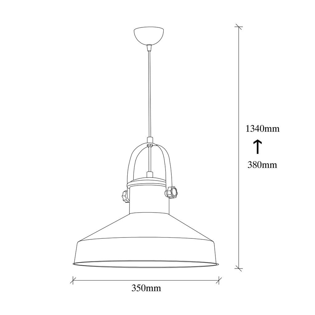 Piekaramā lampa Dodo-2572 cena un informācija | Lustras | 220.lv