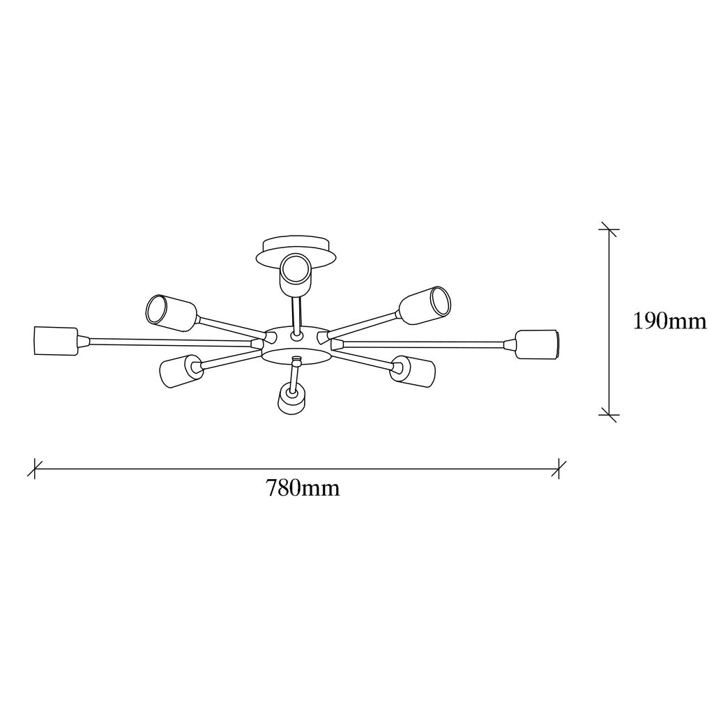 Griestu lampa Ray-1132 cena un informācija | Griestu lampas | 220.lv