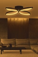 Griestu lampa Eriphos цена и информация | Потолочные светильники | 220.lv