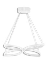 Griestu lampa Eriphos цена и информация | Потолочные светильники | 220.lv
