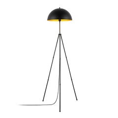 Grīdas lampa Can-NT-113-1 цена и информация | Торшеры | 220.lv