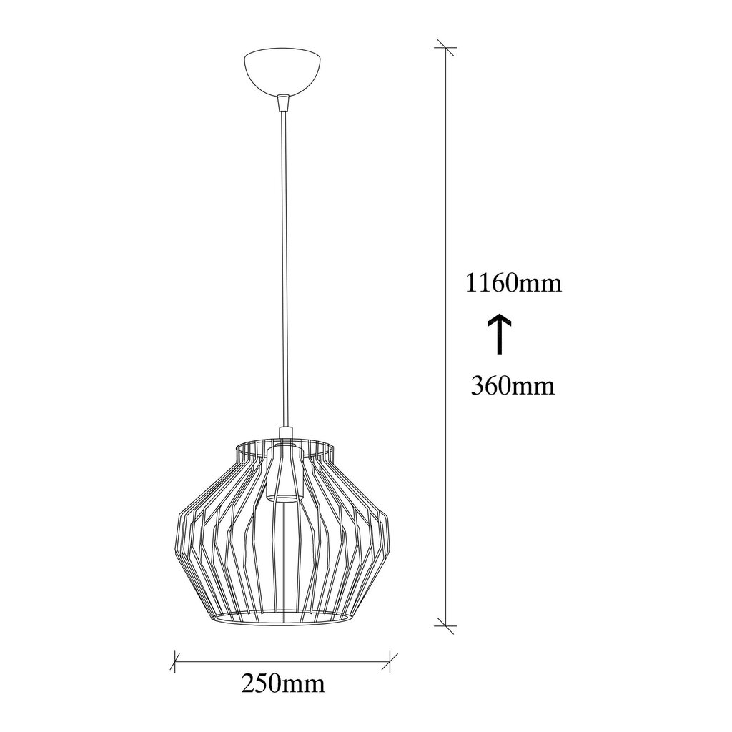 Piekaramā lampa Vazo-2927 цена и информация | Piekaramās lampas | 220.lv